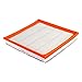 FRAM CA10989 Extra Guard Panel Air Filter