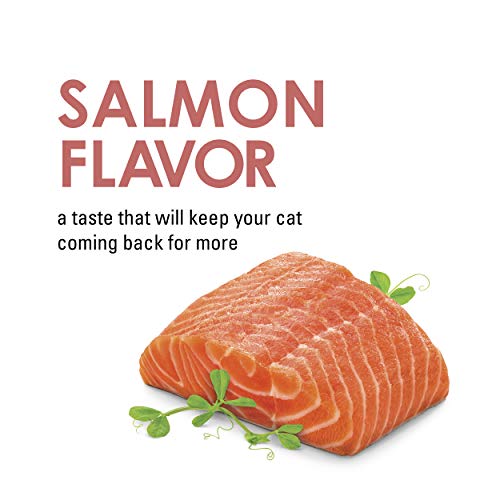 Purina Fancy Feast Limited Ingredient Cat Treats, Savory Cravings Salmon Flavor - 9 oz. Box - image 4