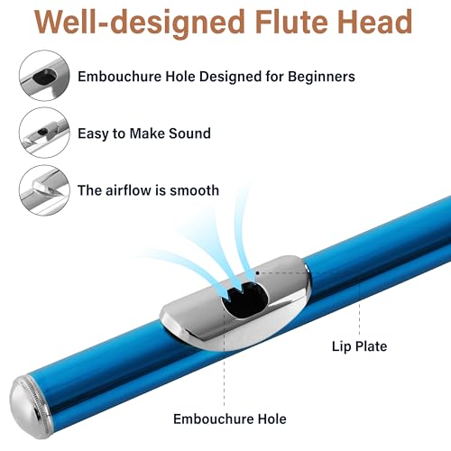 Mendini Sky Blue Closed Hole C Flute with Stand, 1 Year Warranty, Case, Cleaning Rod, Cloth, Joint Grease, and Gloves - MFE-SB+SD+PB