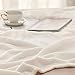Bedsure GentleSoft Fleece Blankets Queen Size Cream - Bed Blanket Soft Lightweight Plush Fuzzy Cozy Luxury Microfiber, 90x90 inches
