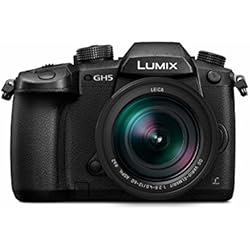 Objetivo Leica 12 60 Panasonic Lumix DC-GH5L - Cámara EVIL de 20.3 MP, Pantalla de 3.2´´, Visor OLED, Estabilizador Dual I.S. 2 5 Ejes, 4K, Wi-Fi, Bluetooth, Kit con Objetivo Panasonic LEICA 12 - 60 mm/F2.8-F4