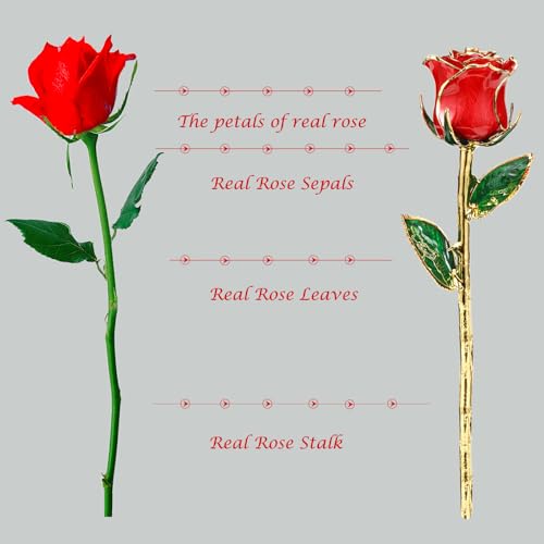 Image of Valentines Day Gift Rose, Gold Dipped Real Rose is Attractive Luster and Natural Shape, Best Gifts for Anniversary Wedding Valentines Day (Red Original Rose with Stand)