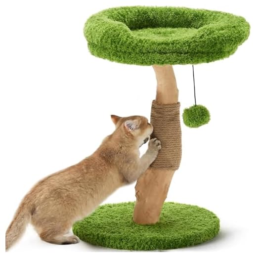 FUKUMARU Arbre à Chat avec lit, griffoir en Bois Massif, Petit Arbre à Chat avec Corde de Jute Naturelle pour Chatons et Chats d'intérieur