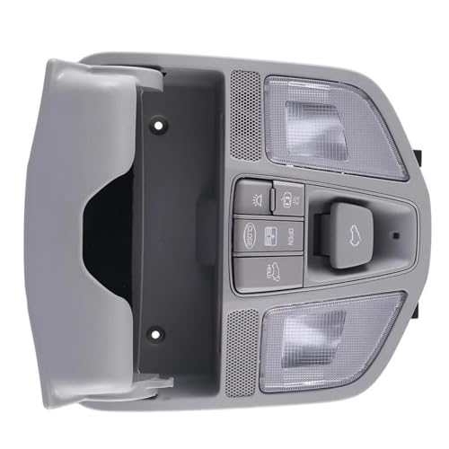 Luz de mapa delantera y mandos de techo solar para viajes nocturnos en tu Hyundai Santa Fe 2017