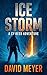 Ice Storm (Cy Reed Adventures Book 2)