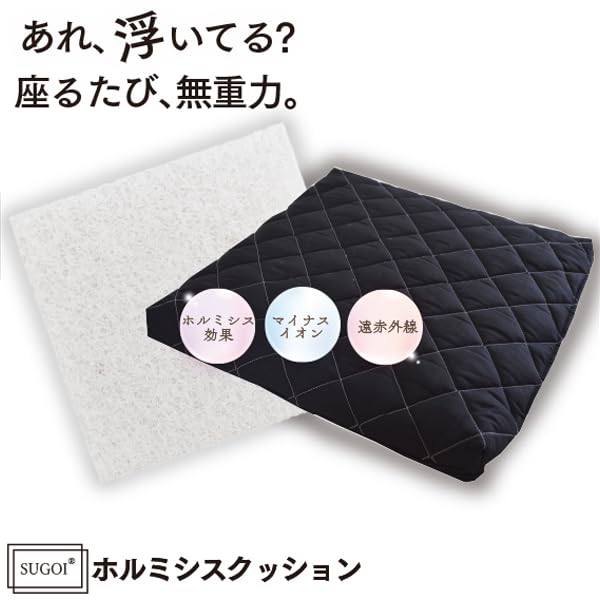 Amazon｜【日本イオン協会認定】すごい シートクッション 約40×40×6cm