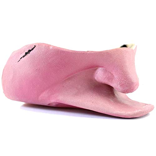 19年ガキ使 おもしろマスクはどこで売ってるの 笑ってはいけない青春ハイスクール ぽんぽんびおドットコム