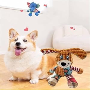 Immortal squeaker plush toy immortal squeaker plush toy for aggressive chewers indestructible squeaky toys for aggressive chewers invincible robust pig dog chew toys 3pcs   cucciolini doodles