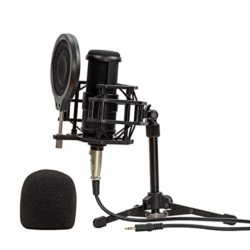 Kit Mic Estúdio Bm800 + Pop Filter + Aranha + Braço Articula