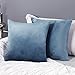 Deconovo Fundas para Cojines de Almohada del Sofá Cubierta Suave Decorativa Protector para Hogar 2 Piezas 45 x 45 cm Azul Gris