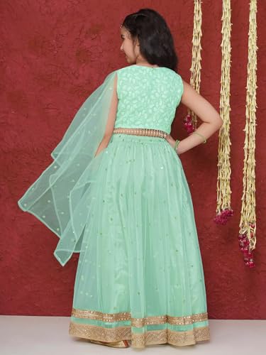 AJ DEZINES Kids indian Ethnic Wedding Wear Schiffli Sequence Lehenga Choli for Girls With Dupatta2
