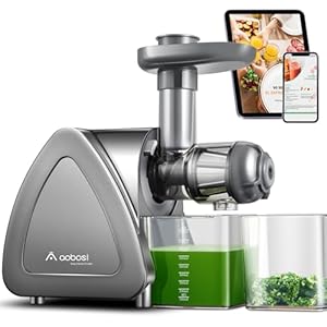 Cold Press Juicer, Aobosi Slow Masticating Juicer Machines with Reverse Function, Quiet Motor, High Juice Yield with Juice Jug & Brush for Cleaning, Gray