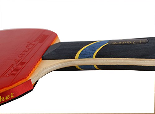 mapol ping pong paddle