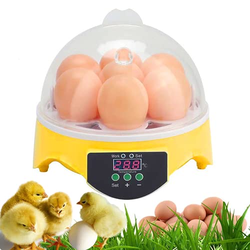 Incubators for Hatching Eggs for Kids,Egg Incubator With Temperature Control Clear General Purpose For Incubators Ducks Geese Birds Quail Goose Birds Parakeet Hatching Machine (7 Eggs)