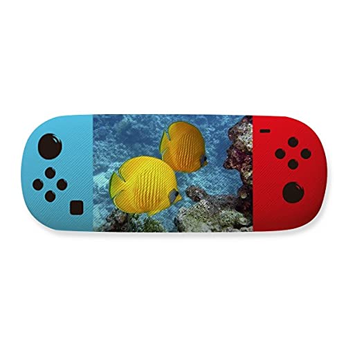 Étui de rangement pour lunettes poissons aquatiques idéal pour vos vacances et sorties plage