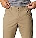 Columbia Men's Rapid Rivers Pant, flax, 40W x 30L