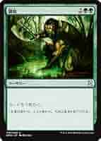 MTGマジックザギャザリングコモンアンコモン緑 41HAmR8MyEL._AC_SY200_QL15_.jpg