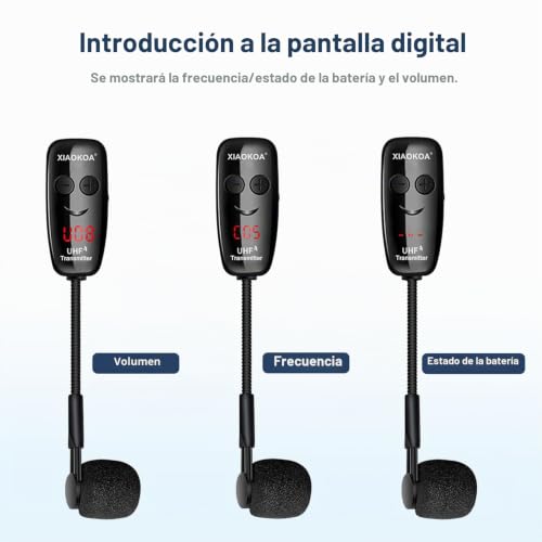 Miniatura 5 de 