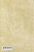 The Evening and Morning Star Volume 1, Numbers 1 & 2: Mormon History Series