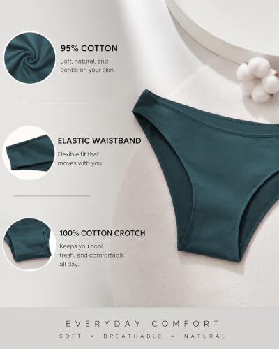 Image of Cotton Underwear for Women Cheeky Hipster Panties Sexy Cute Bikinis 6 Pack