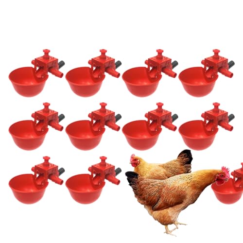 Tuyhnj `LEH[^[JbvAƋאUJbv,10`LJbvEH[^[ - Ђ悱K`Eʒ̃oj[p̒\Ȉ҂ƃt[htB[_[