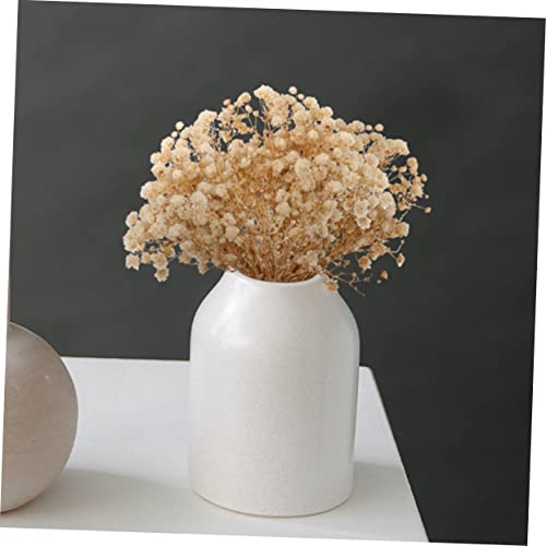 Flores secas Babys Breath 6 pcs para decoración natural miniatura 7