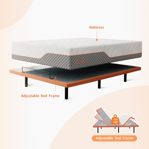Image of ESHINE Adjustable Bed Frame King, Zero Gravity, Ergonomic Electric Bed Base | Foot & Head Incline, APP Control, Wireless Remote, Anti-Snore, King, 2000 Series