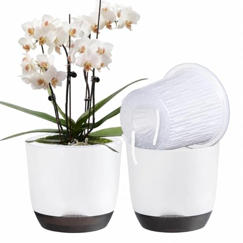 5.7Inch White Orchid Pots with Holes for Repotting, Double-Layer Plastic Self Watering Flower Pots for Indoor Plants with Drainage Holes, Clear Orchid Pot Match Decorative Orchid Container, 1 Pack