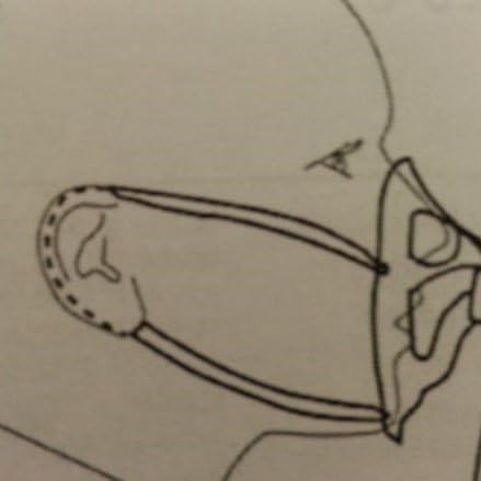 Large Oxymask with Dual Ear Strings - OP1425-8