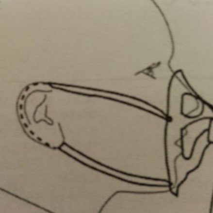 OxyPlus Large Oxymask with Dual Ear Strings - OP1425-8