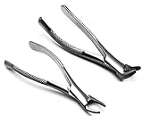 2 Pcs Dental Extracting Forceps 150 & 151 Upper Lower Molars Incisors Surgical Instruments