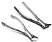 2 Pcs Dental Extracting Forceps 150 & 151 Upper Lower Molars Incisors Surgical Instruments