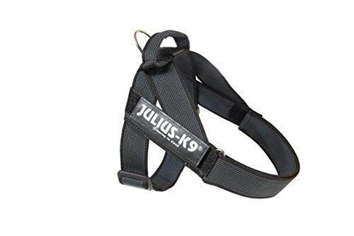 Julius-K9, IDC® Color & Gray® Beltgeschirr
