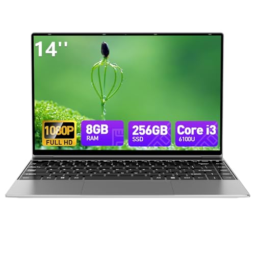 Wvryrv 14'' Laptop Computer 8GB RAM 256GB SSD Win 11 Laptop, Core i3 6100U Processor,1080P FHD IPS Display, USB3.0, WiFi5, Mini HDMI, BT5, Webcam, Lightweight Laptops for Business & Student