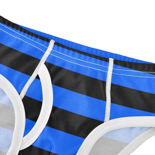 Black Blue Stripe Toddler Boy's Underwear 2T4