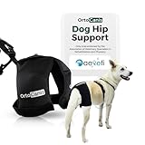 Ortocanis Hip Support for Dogs – Neoprene Stability Dog Hip Brace for Dysplasia, Osteoarthritis & Mobility Aid – Adjustable Joint Support & Pain Relief – Size: Large (Chest 69–96 cm)