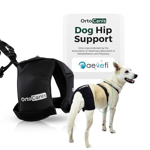 Ortocanis Hip Support for Dogs – Neoprene Stability Dog Hip Brace for Dysplasia, Osteoarthritis & Mobility Aid – Adjustable Joint Support & Pain Relief – Size: Large (Chest 69–96 cm)