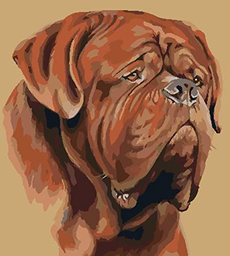 Peinture au Diamant 5D Gros Chiot Kit Complet Strass 30x40cm