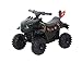Produktbild ROLLPLAY 40341 Elektro Drachenzähmen leicht gemacht, Für Kinder ab 2 Jahren, Bis max. 20 kg, 6-Volt-Akku, Bis zu 2 km/h, Dragon Mini Quad, Schwarz