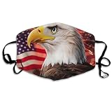 Men Women Breathable Protective Masks Neck Gaiter Anti Dust Windproof Face Cover, Bald Eagle American Flag Fireworks Art Mouth Protection for Outdoors Home and Daily Use