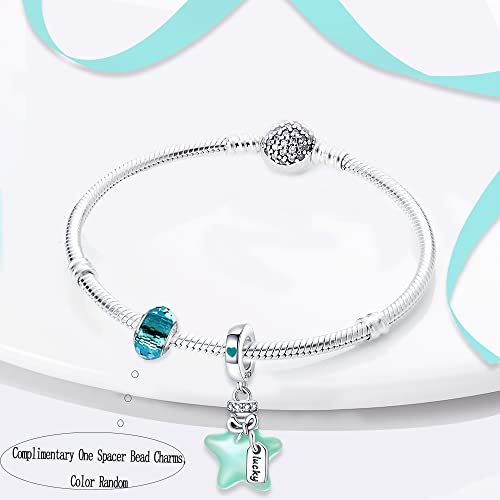 LNQOBU 925 Sterling Silver Charms Color-changing Chameleon Dangle Charm Beads Glow in the Dark Charme fits Pandora Bracelets and Necklace Jewelry Gift for Women3