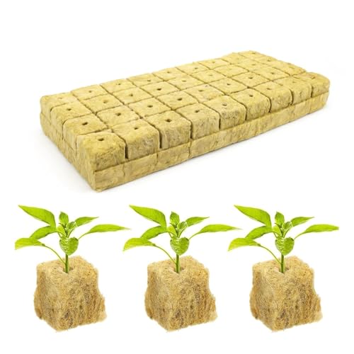 DIYCUT 36 Pezzi Cubi di Coltivazione Soilless, Cubo di Lana