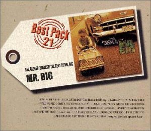 MR.BIG/MR.BIG