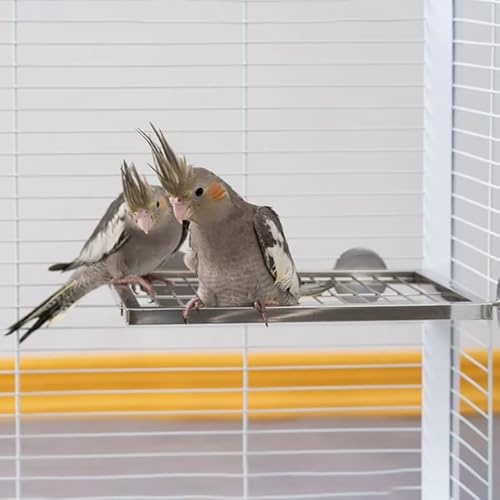 Image of Stainless Steel Bird Platform & Climbing Ladder Set (1 Platform + 1 Ladder) - Durable, Washable Cage Perch for Parakeets, Cockatiels, Conures (M)