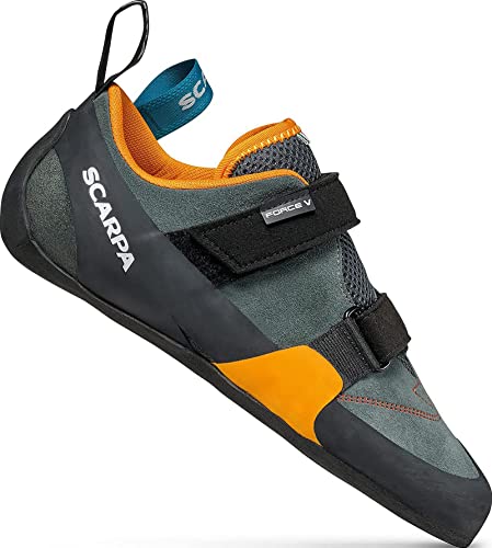 SCARPA Men's Force V Rock Climbing Shoes for Gym and Sport Climbing