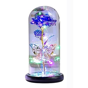 Fency Light-Up Artificial Preserved Flowers in Glass Dome, Romantic Rose Gift for Women Lover Girlfriend Mom Wife, Fake Rose Home Decoration with LED Lamp