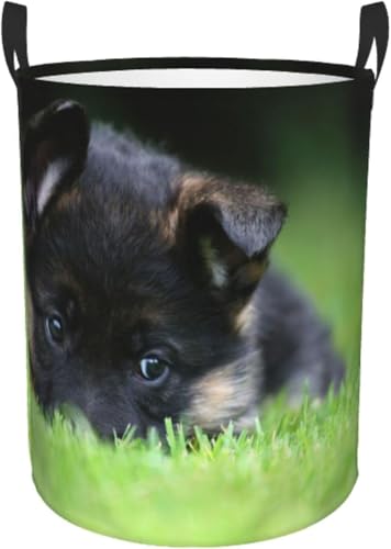 ŐŃ{PW[}VFp[hq ꕞ[󂩂 ܂肽ݎ[h[{bNX AjfUC{bNX Vv[ M