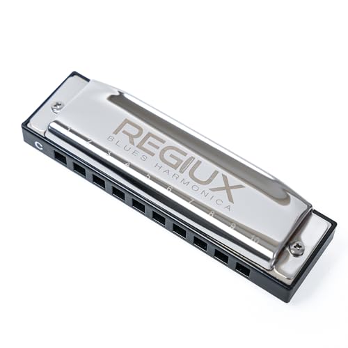 Professional Blues Harmonica, 10-Hole Diatonic, Black and Silver, Blues & Folk Music Instrument with Carrying Case - Les Beatles, Paul McCartney, John Lennon, RIngo Starr, George Harrison Professional Blues Harmonica, 10-Hole Diatonic, Black and Silver, Blues & Folk Music Instrument with Carrying Case
