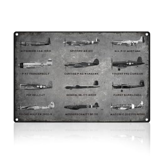 Doodlream Plaque en métal pour décoration murale d'avion de la Seconde Guerre mondiale - Cadeau vintage pour homme - 20,3 x 30,5 cm