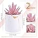 Der Rose Set of 2 Succulents Plants Artificial Mini Fake Succulents Plants for Office Desk Accessories for Women Pink Home Vanity Decor